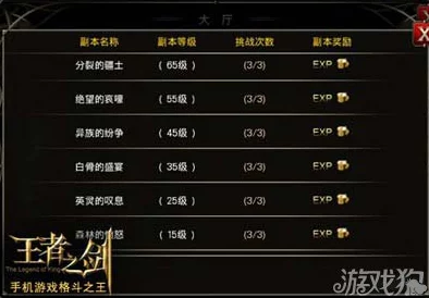 2024王者之剑刺客角色冲榜全攻略：最新技能搭配与高效升级路径解析
