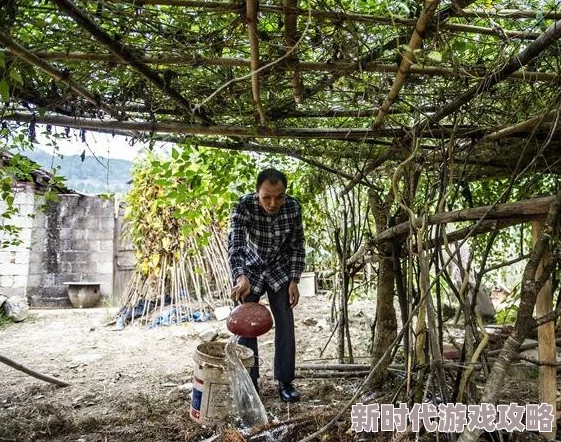 2019天天做天天拍天天夜努力奋斗追求梦想让每一天都充满希望与活力