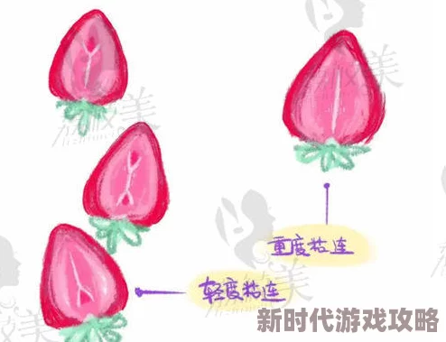 阴脣肥大的图示蝴蝶绘制细节已完成80%正在进行最终色彩调整和背景处理