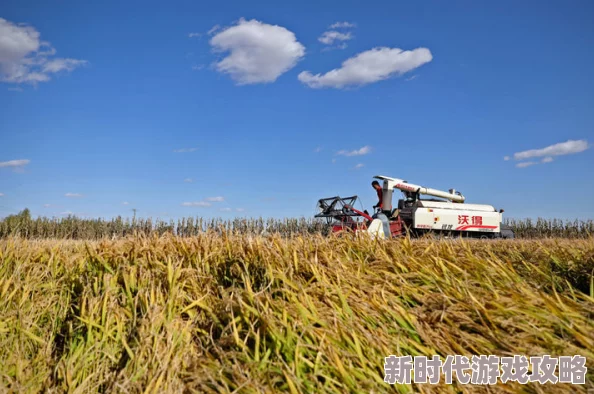 我的东北农场肥熟45秋收圆满结束喜迎丰年囤粮备冬