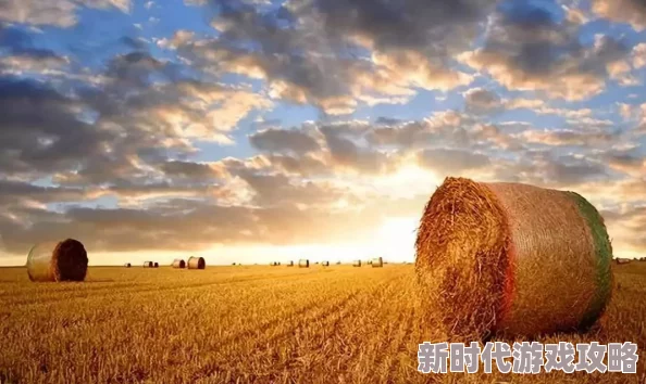 我的东北农场肥熟45秋收圆满结束喜迎丰年囤粮备冬