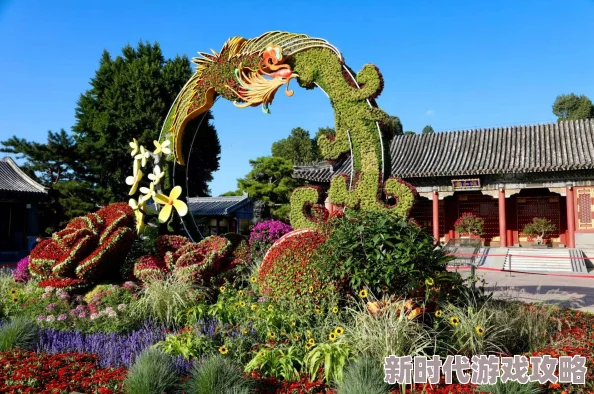 东宫小说婚姻罗曼史携手共进爱与理解成就美好未来 东宫小说婚姻罗曼史携手共进爱与理解成就美好未来