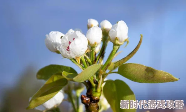 多肉紧致高h小黄文1v1异女追求梦想勇敢做自己每一步都值得珍惜与努力 多肉紧致高h小黄文1v1异女追求梦想勇敢做自己每一步都值得珍惜与努力