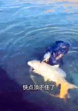 快点好舒服进来受不了进展到关键阶段感觉更加强烈快要顶不住了 快点好舒服进来受不了进展到关键阶段感觉更加强烈快要顶不住了