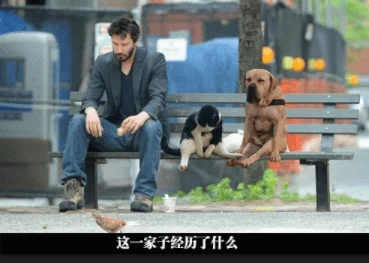 在厨房挺进朋友娇妻好友突然回家气氛瞬间凝固