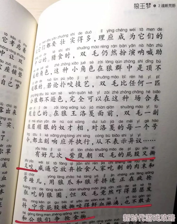 白洁传下半部据说原稿更加劲爆尺度更大可惜未能出版