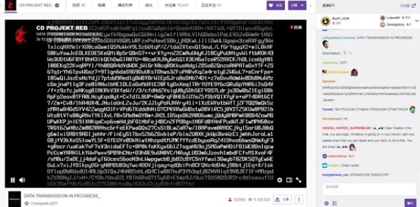 震惊！污站惊现神秘代码疑似隐藏巨大秘密
