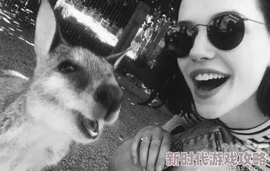 欧美AT另类在线据传某神秘组织成员酷爱此类影片引发网友热议
