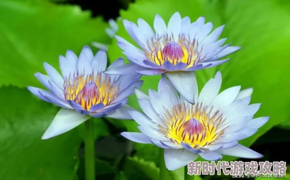 佳叶玩尿急夜·店让每一个梦想在这里绽放勇敢追求心中的光芒