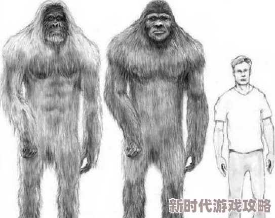 白色巨猿目击者称疑似发现巨大白色毛发及足印