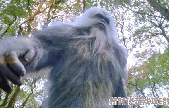 白色巨猿目击者称疑似发现巨大白色毛发及足印