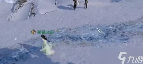 《逆水寒手游》深度揭秘：寒石野人奇遇全攻略，爆料隐藏奖励与高阶技巧