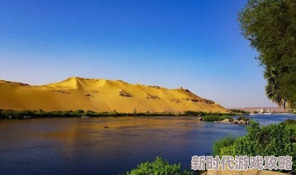 遇到了法老网友热议：神秘古老的气息扑面而来，期待揭开更多历史谜团