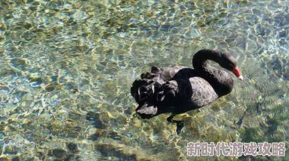 河马的秘密河文轩器材室惊现大量过期药品和不明用途器械 河马的秘密河文轩器材室惊现大量过期药品和不明用途器械