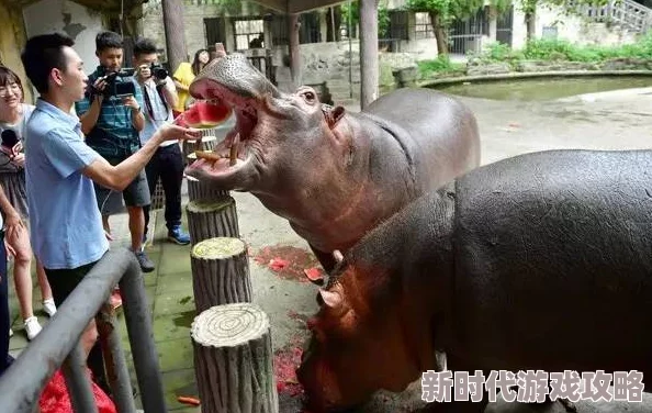 河马的秘密河文轩器材室惊现大量过期药品和不明用途器械 河马的秘密河文轩器材室惊现大量过期药品和不明用途器械