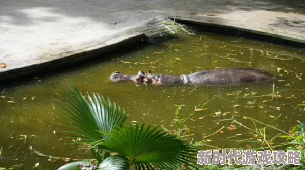 河马的秘密河文轩器材室惊现大量过期药品和不明用途器械 河马的秘密河文轩器材室惊现大量过期药品和不明用途器械