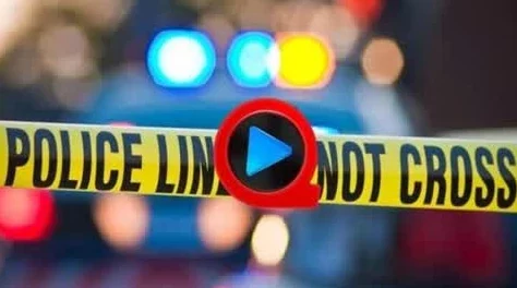 欧美毛片一级涉嫌传播淫秽色情信息已被举报至相关部门