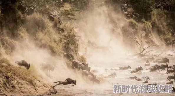 野性网友称其画面壮美配乐震撼展现了自然界最原始的力量