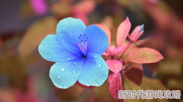 揭秘神仙道：闪避率真相大公开，究竟多少才能闪出奇迹？