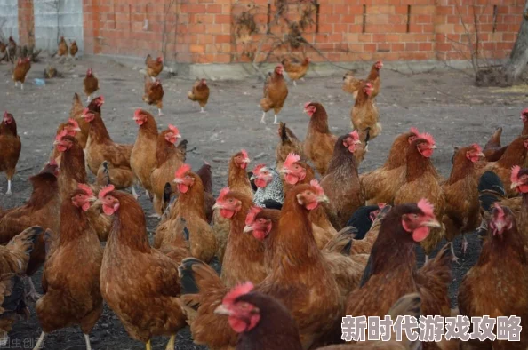 男人的鸡鸡桶女人的鸡鸡疑似色情内容已被举报至相关平台呼吁大家共同抵制