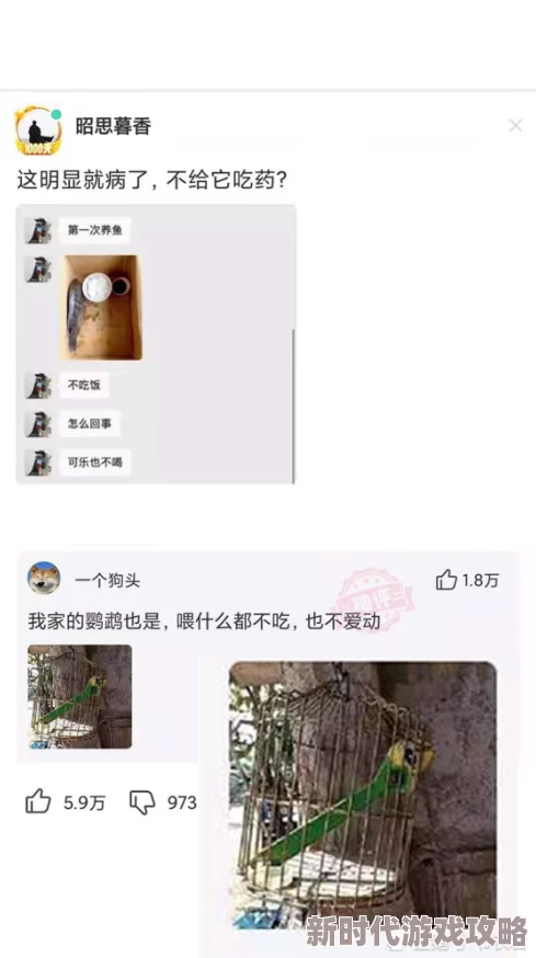 男人捅女人鸡鸡曝光视频疯传网络引发网友强烈谴责