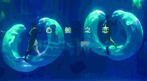 《精灵之境》游乐场全新玩法爆料：畅玩乐园的秘密技巧与未公开攻略