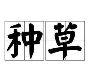 “狠狠的日”这一表达的含义及用法探索分析：从网络流行语到日常使用中的演变及其背后的社会文化心理
