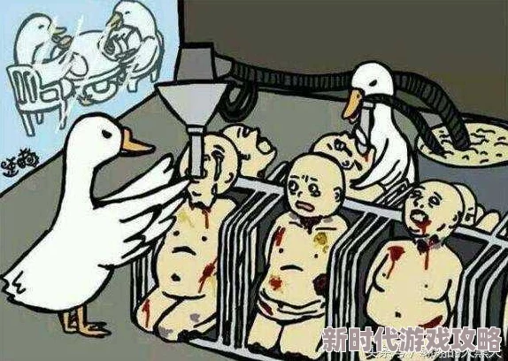 欧美人与牲禽行为引发伦理争议各国法律和社会观点差异巨大
