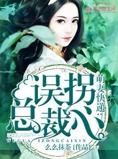 蚀骨缠绵：总裁的失忆妻凌呈羡任苒小说免费阅读全文已完结