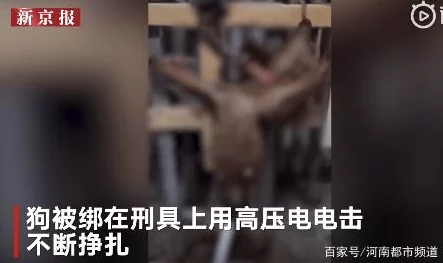 道具变态调教虐h网友称内容低俗，传播不良信息，呼吁平台加强监管