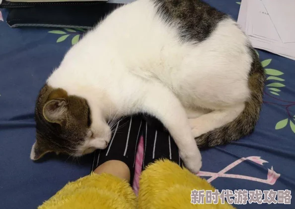直不起腰by阿肥听说作者阿肥最近沉迷撸猫导致更新变慢了