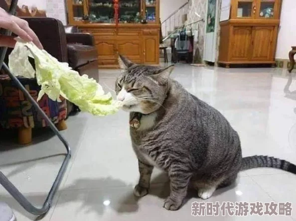 直不起腰by阿肥听说作者阿肥最近沉迷撸猫导致更新变慢了