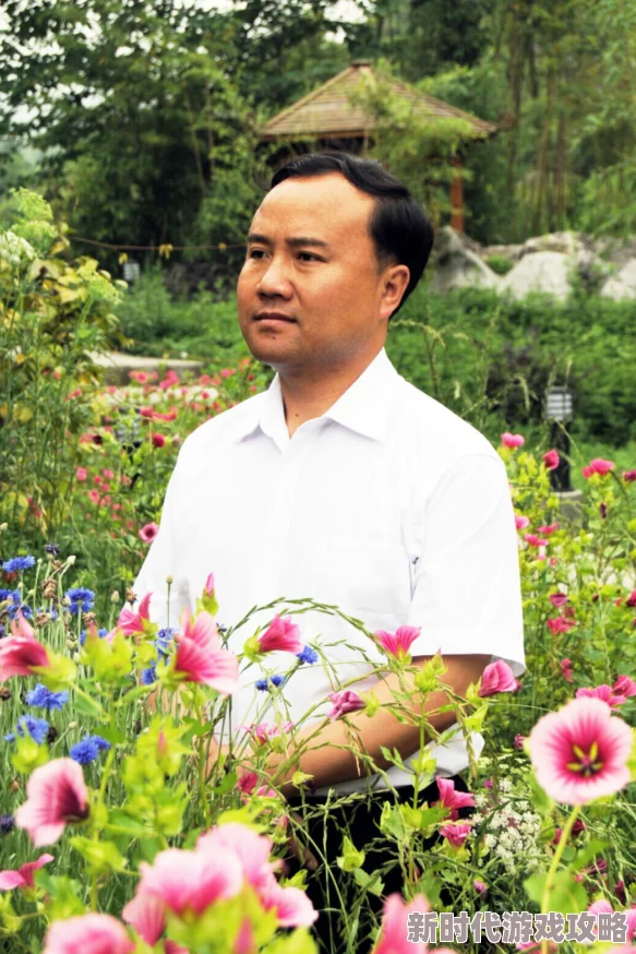 草根官运红途陈兴陈兴仕途再起风云变幻前程未卜