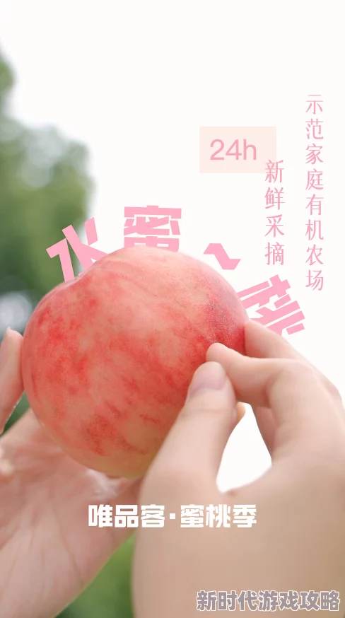 水密桃视频平台更新优化新增多种高清资源流畅播放体验