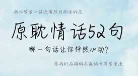 猎户家的小娘子完整版小说文笔幼稚情节老套