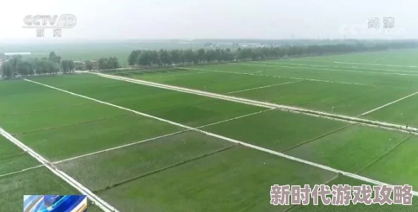 DNF2025版本职业强度爆料：哪个角色好强全面解析