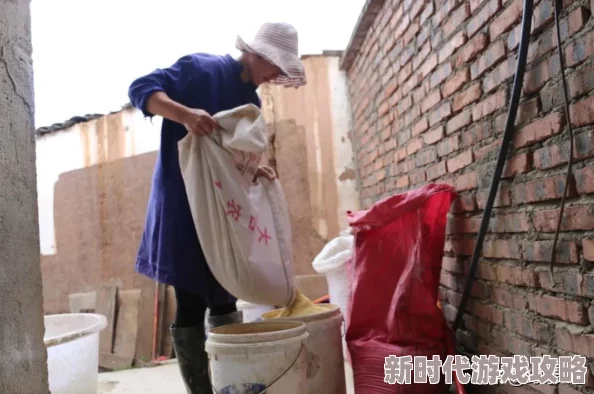 揭秘风云岛行动熊猫：喂食可得装备，视而不见亏大了！