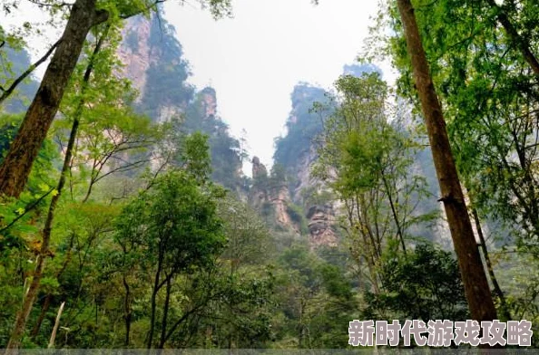 母上攻略小说情节老套文笔幼稚浪费时间