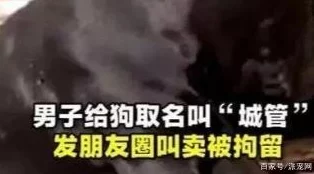 游龙嬉春据说主演们在片场养了一只小狗取名旺财寓意票房大旺还一起学习了舞龙技巧