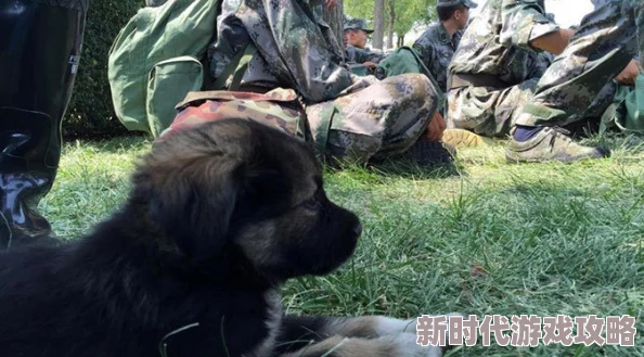 游龙嬉春据说主演们在片场养了一只小狗取名旺财寓意票房大旺还一起学习了舞龙技巧