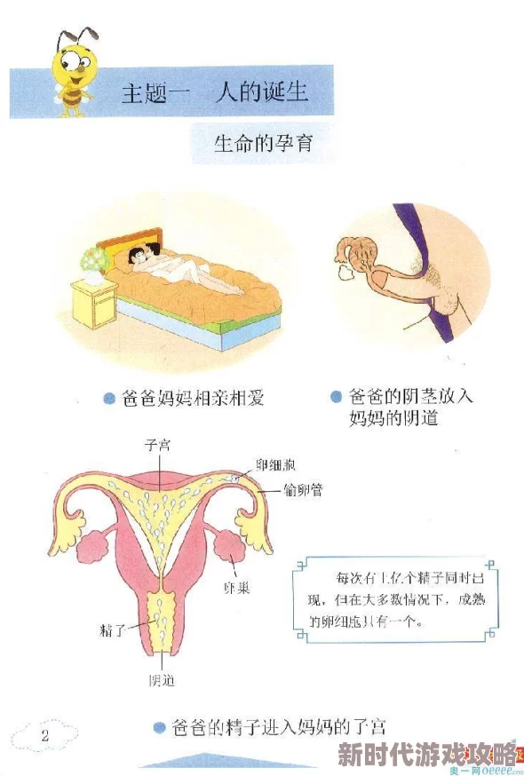 男插女下面视频展现性行为过程及生理结构供医学研究或成人性教育参考
