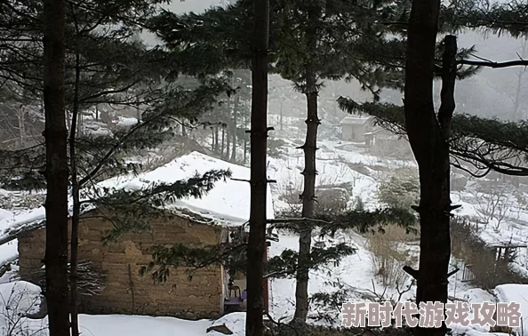 《江湖悠悠》村落种植深度揭秘：掌握农耕秘技，爆料新作物，打造顶尖繁荣桃源村全攻略