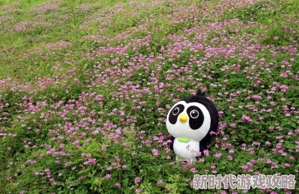 魔兽争霸战役终极挑战：击败血鸟后，如何根据难度与需求抉择最佳奖励方案