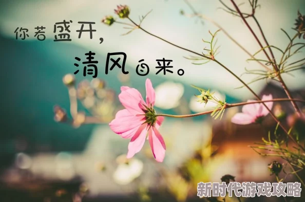 我要上你酌青栀原标题为“你若盛开，清风自来”的网络爽文