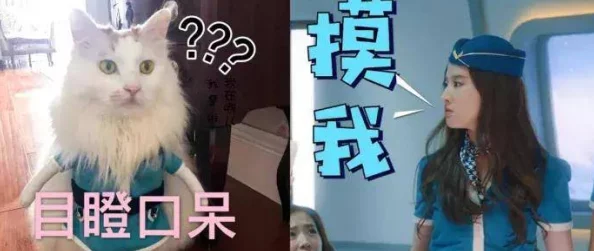 蛇王两根硕大挺进她的身体小说网友：这标题，我血压直接拉满了，太雷人了