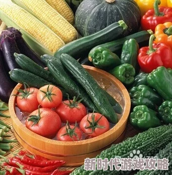 田园日记夏日炎炎，菜园里的瓜果蔬菜茁壮成长