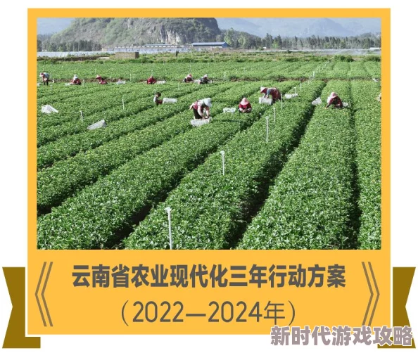 2024热门新生活游戏盛宴揭秘：创新玩法大爆发，独家爆料开启娱乐新纪元