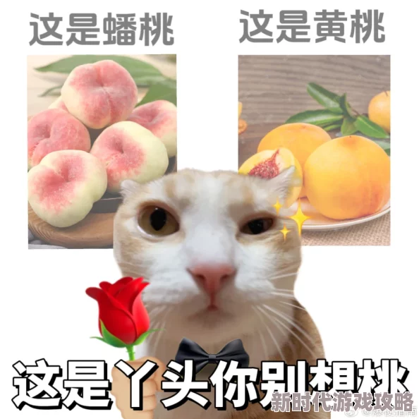 丫头给我土味情话太油腻了网友直呼尴尬癌都犯了
