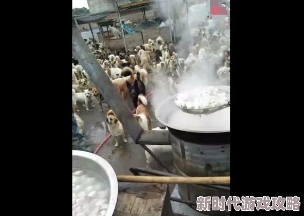 天生鼎炉网友称设定大胆吸睛但需谨慎处理避免争议