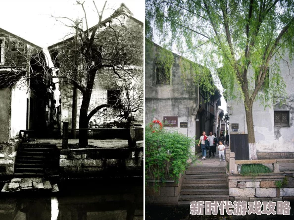 故园风雨后修复重建焕新颜百年老宅重现昔日辉煌